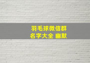 羽毛球微信群名字大全 幽默